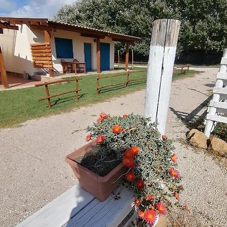Agriturismo Oca Giuliva Lido dei Pini Ngoại thất bức ảnh